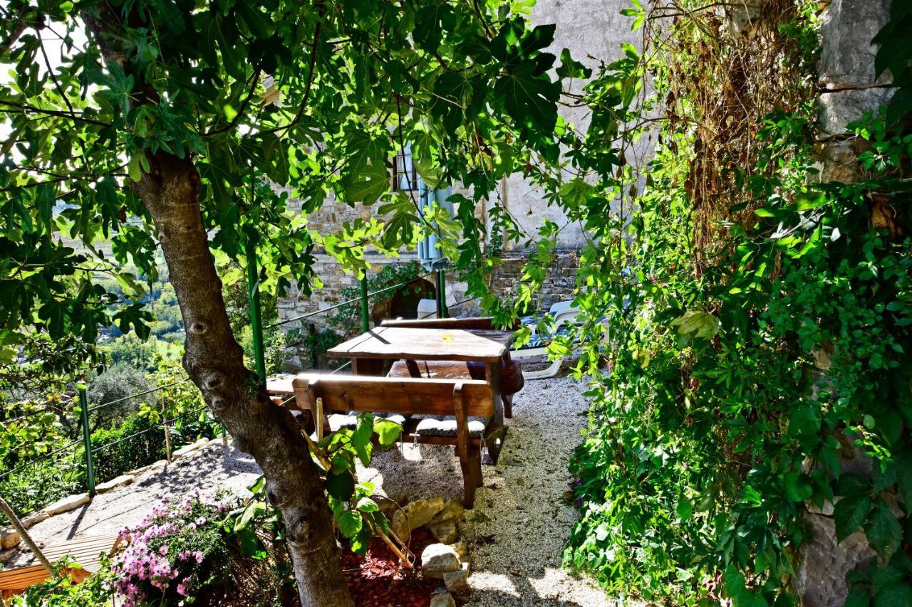 Villa Fragola Motovun Exterior photo